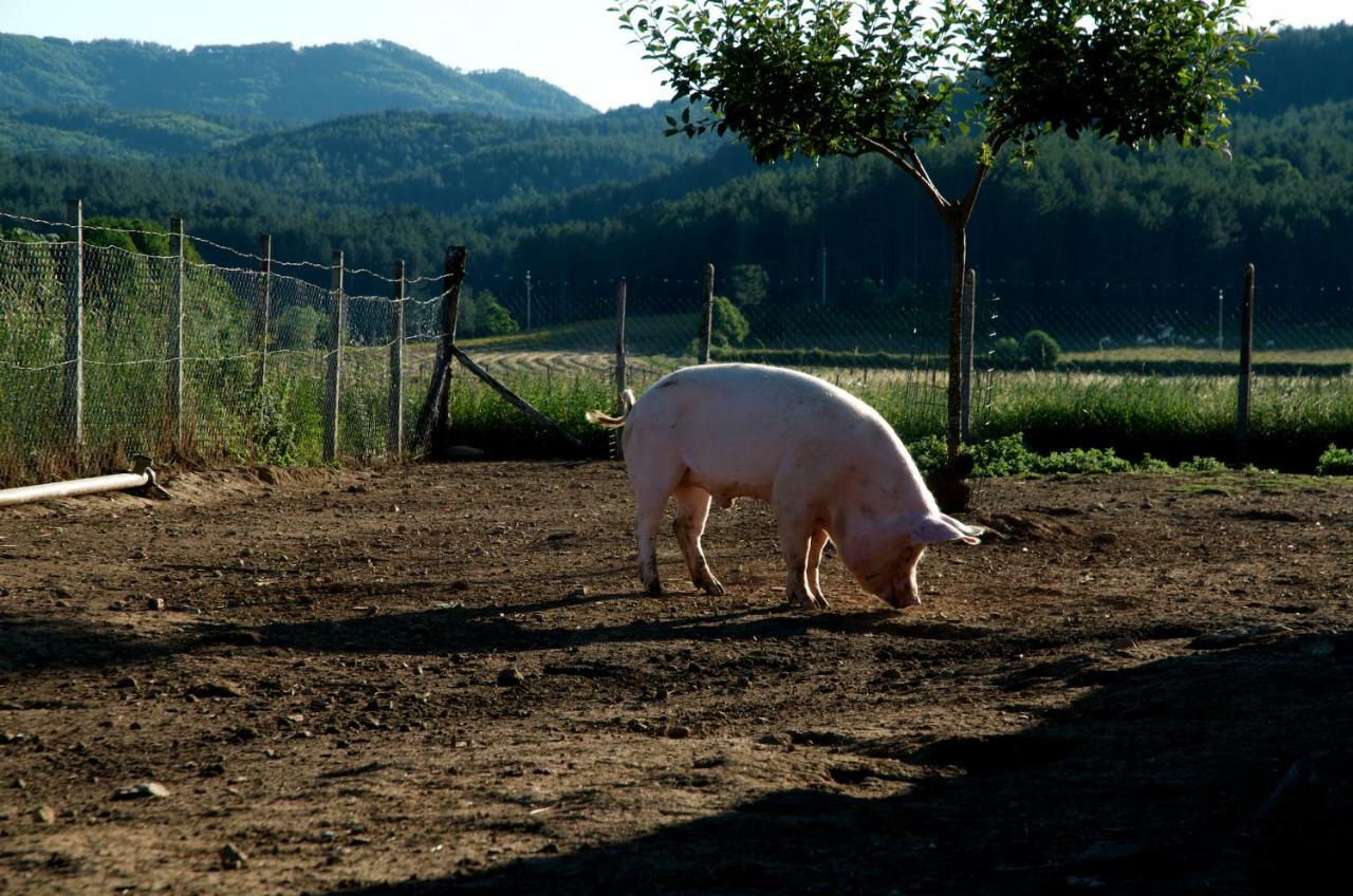 Agriturismo Fiorella Camigliatello Silano Luaran gambar