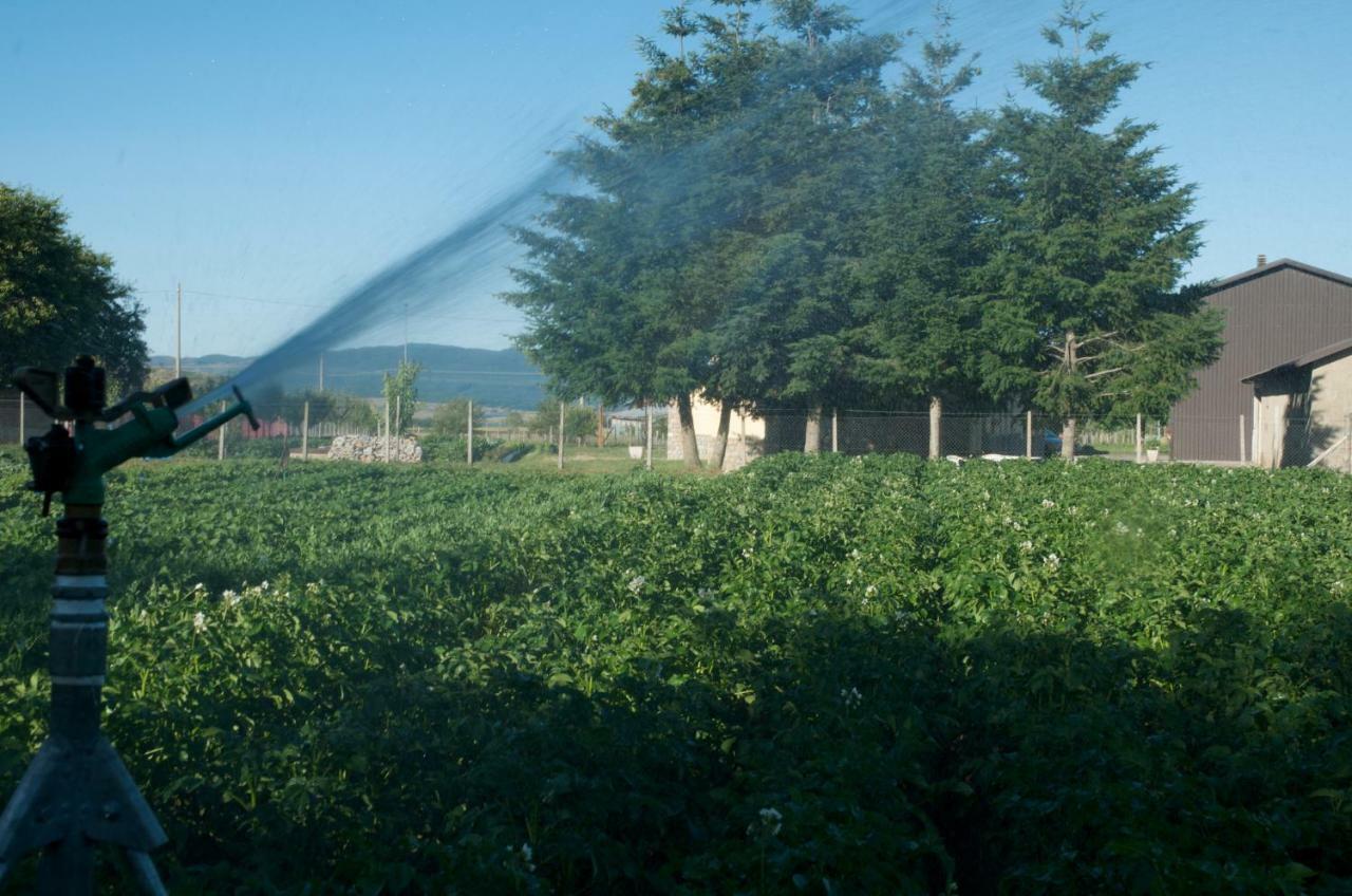 Agriturismo Fiorella Camigliatello Silano Luaran gambar