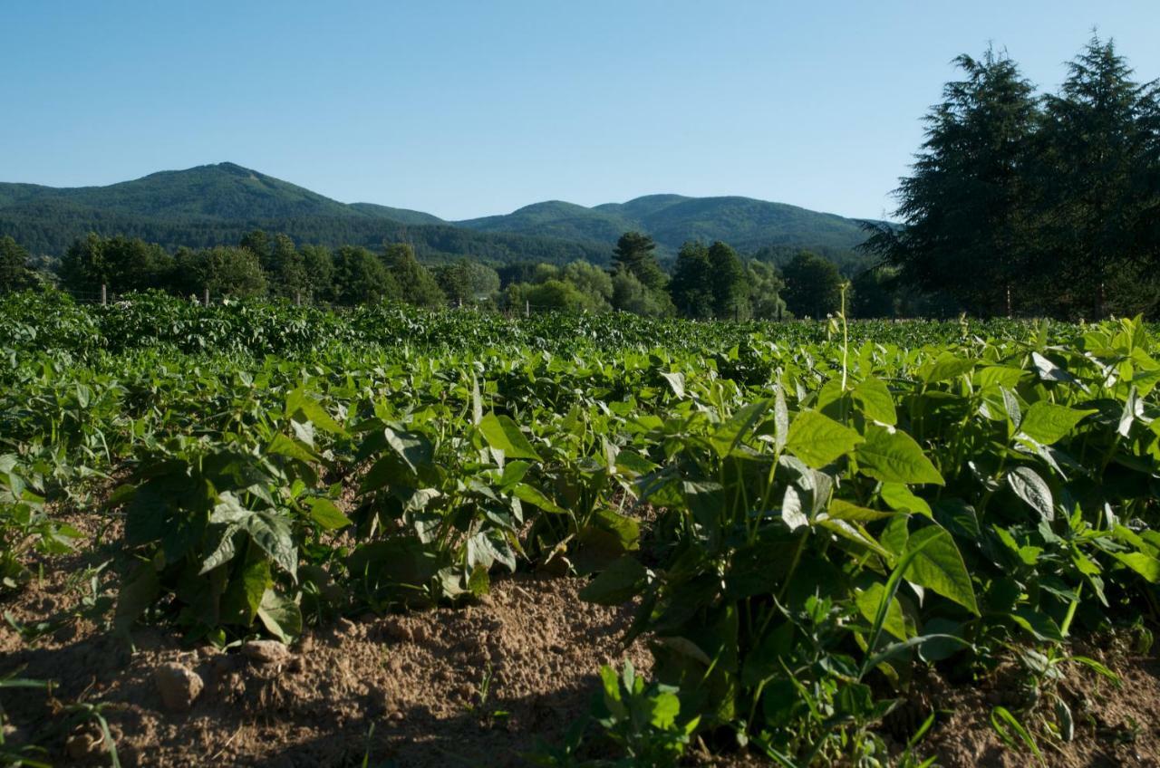 Agriturismo Fiorella Camigliatello Silano Luaran gambar