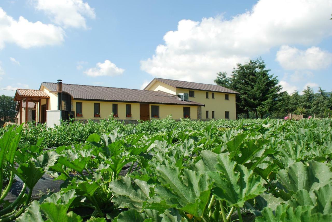 Agriturismo Fiorella Camigliatello Silano Luaran gambar