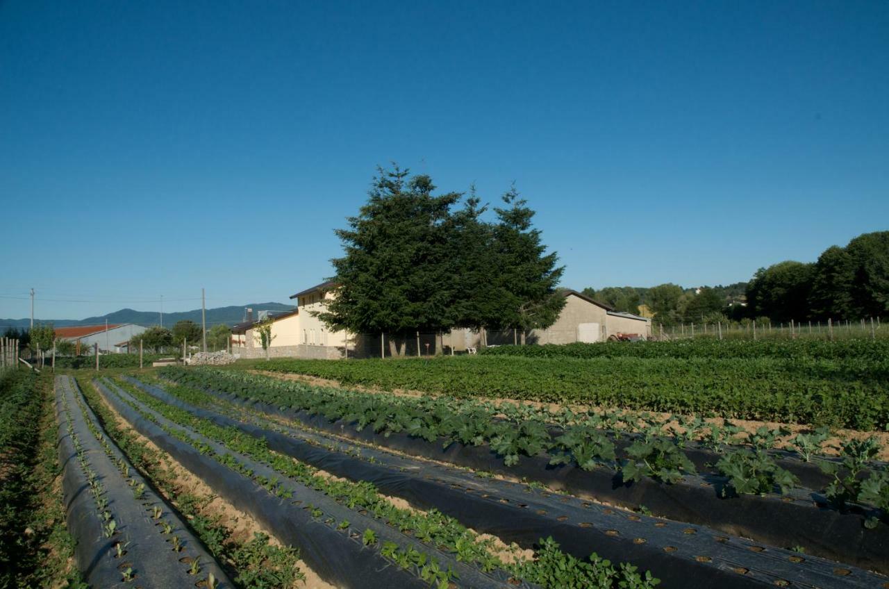 Agriturismo Fiorella Camigliatello Silano Luaran gambar