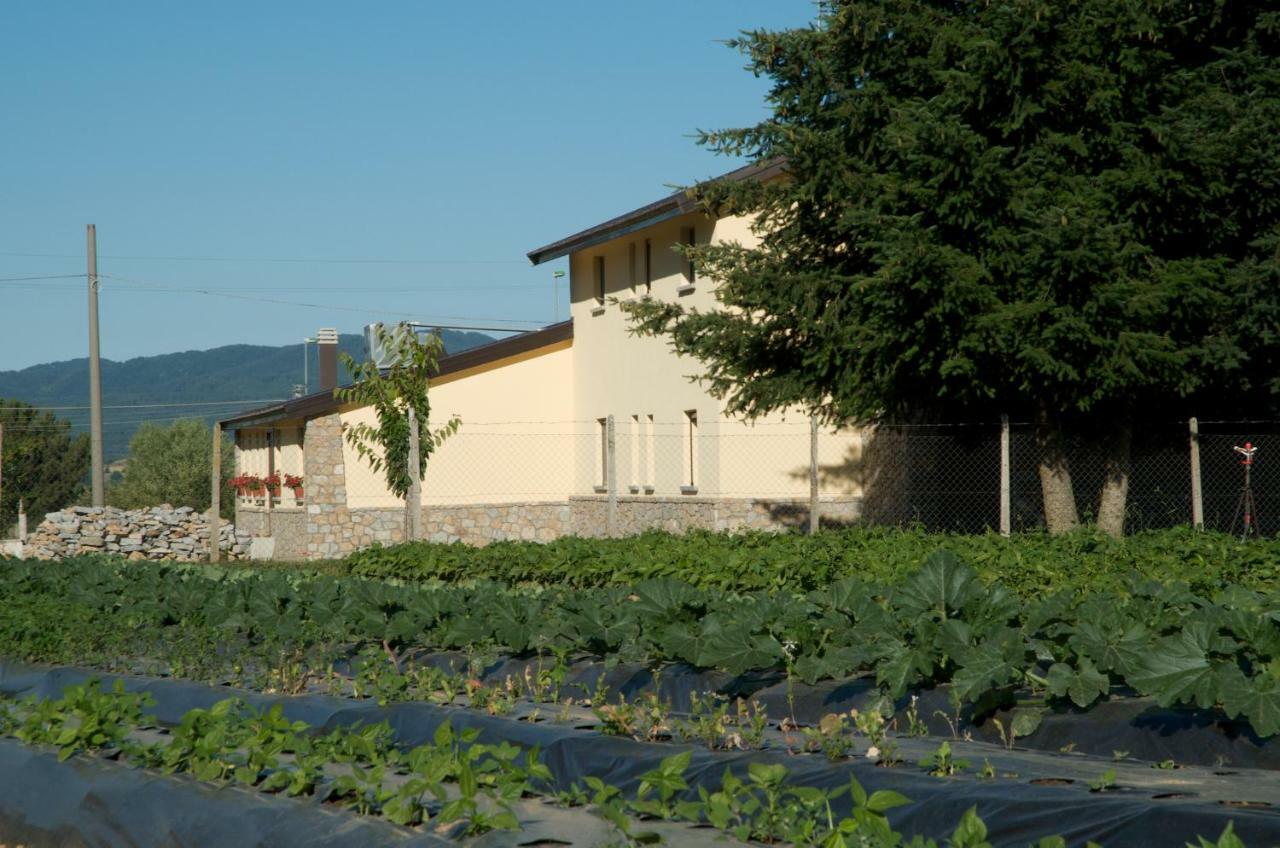 Agriturismo Fiorella Camigliatello Silano Luaran gambar