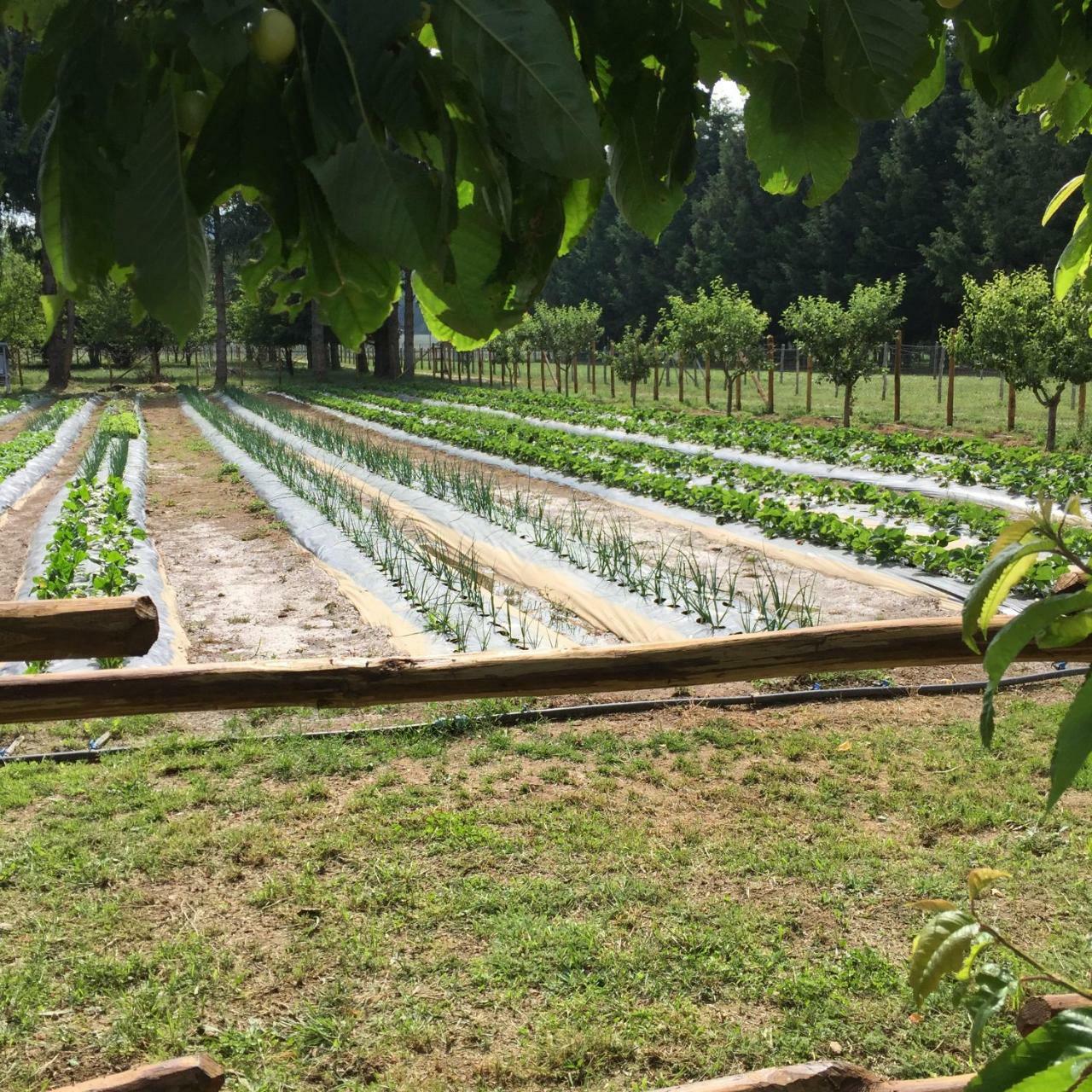 Agriturismo Fiorella Camigliatello Silano Luaran gambar