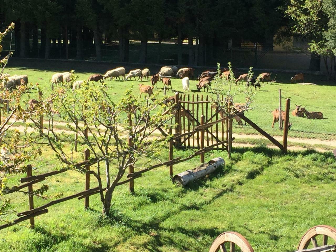 Agriturismo Fiorella Camigliatello Silano Luaran gambar