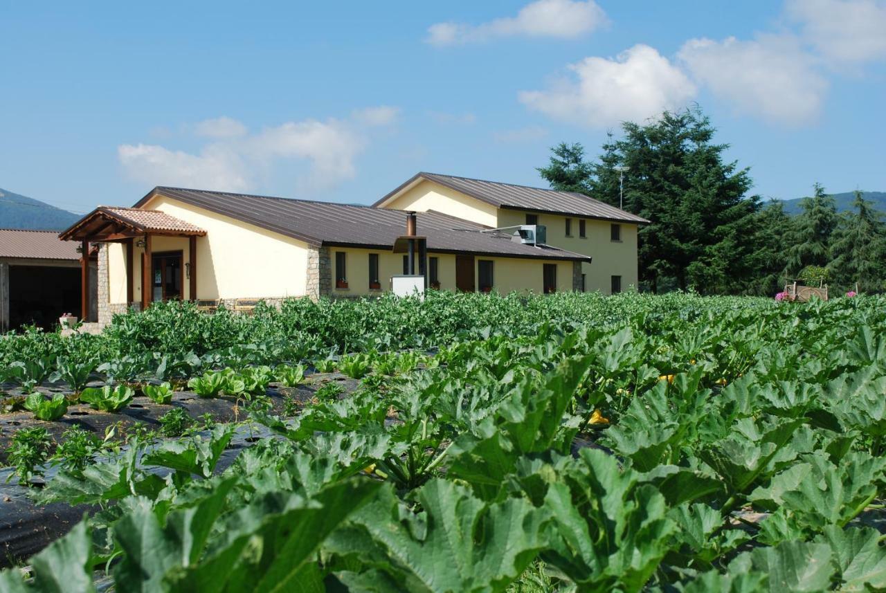 Agriturismo Fiorella Camigliatello Silano Luaran gambar